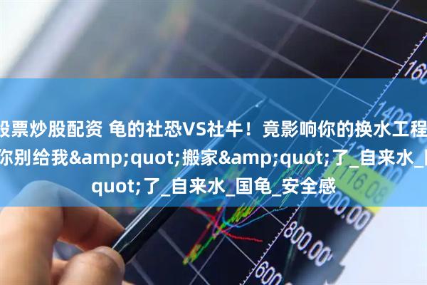 股票炒股配资 龟的社恐VS社牛!竟影响你的换水工程!草龟:求求你别给我"搬家"了_自来水_国龟_安全感