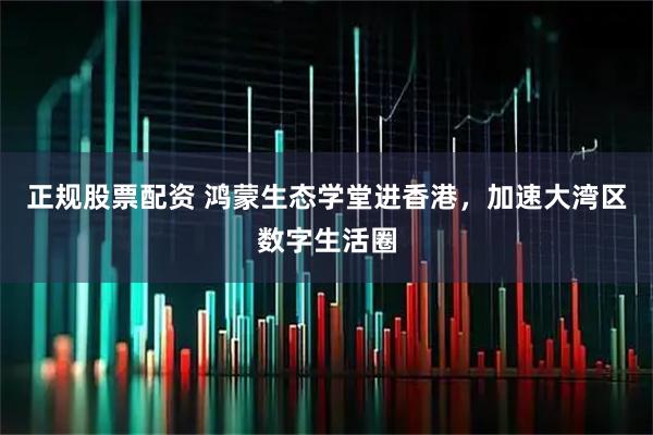 正规股票配资 鸿蒙生态学堂进香港，加速大湾区数字生活圈